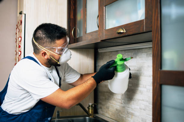 Best Pest Control Near Me in Chesterfield, IN
