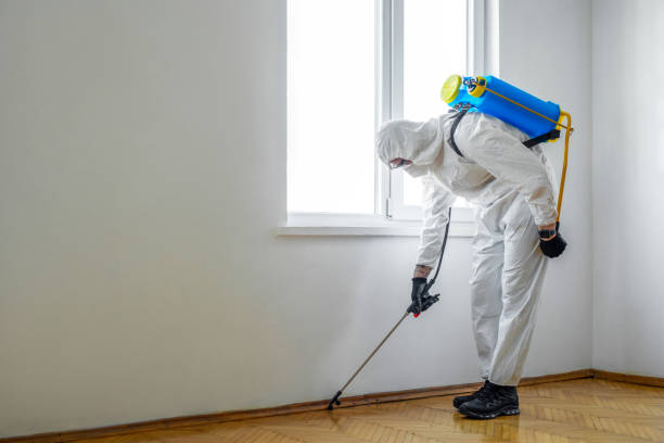 Best Flea Control Services  in Chesterfield, IN