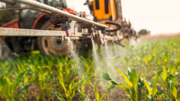 Best Mosquito Control Services  in Chesterfield, IN